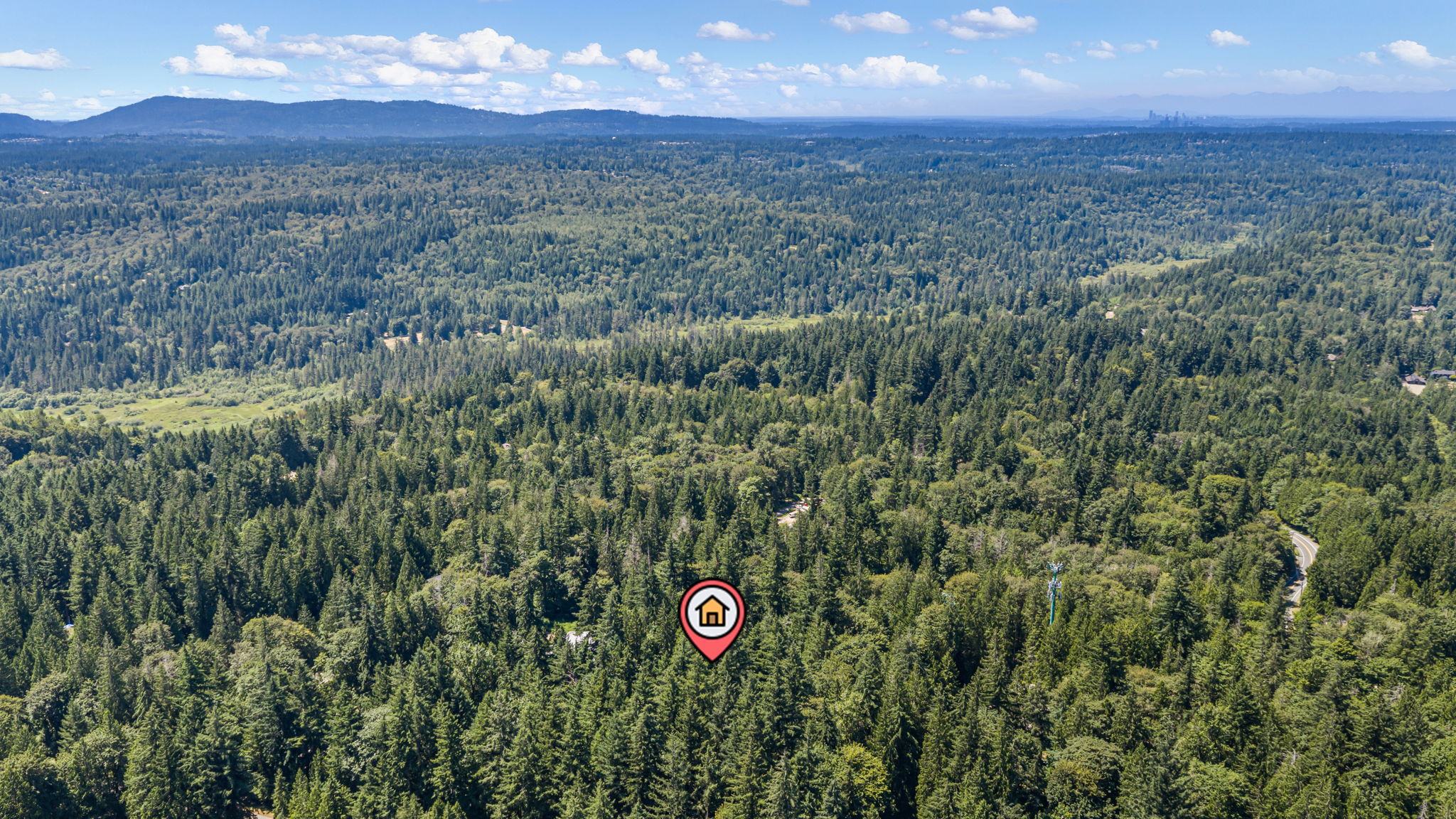 Aerial View at 2015 290th Ave Ne Carnation 98014