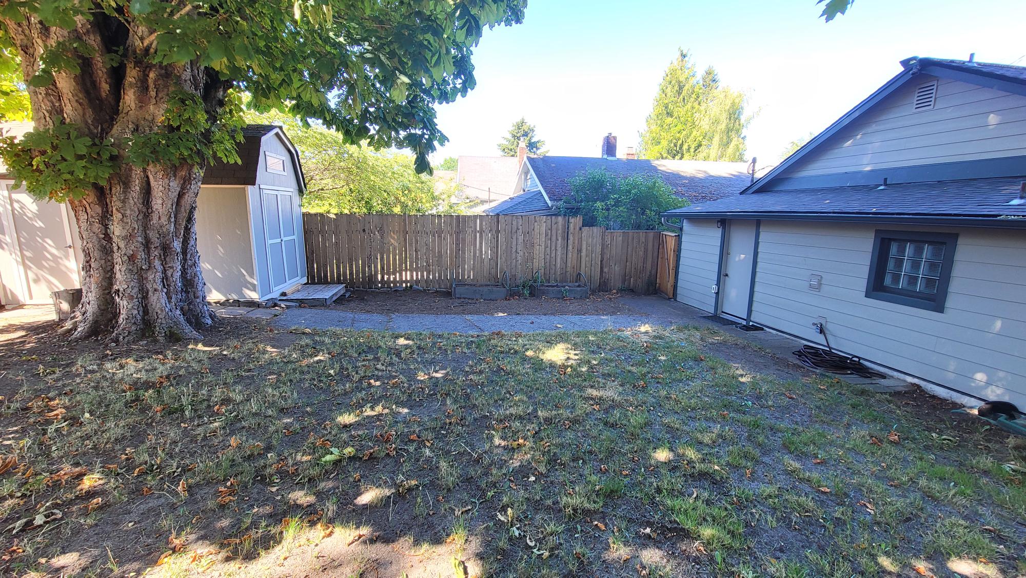 Backyard at 5621 Brooklyn Ave NE, Seattle, WA 98105