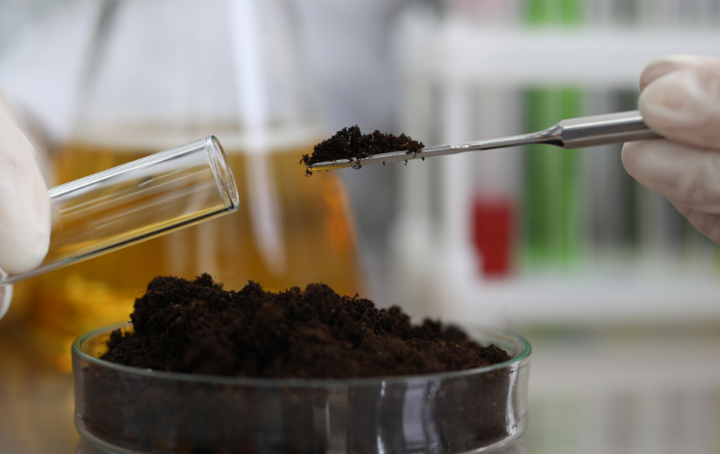 Test and Correct Your Soil pH First