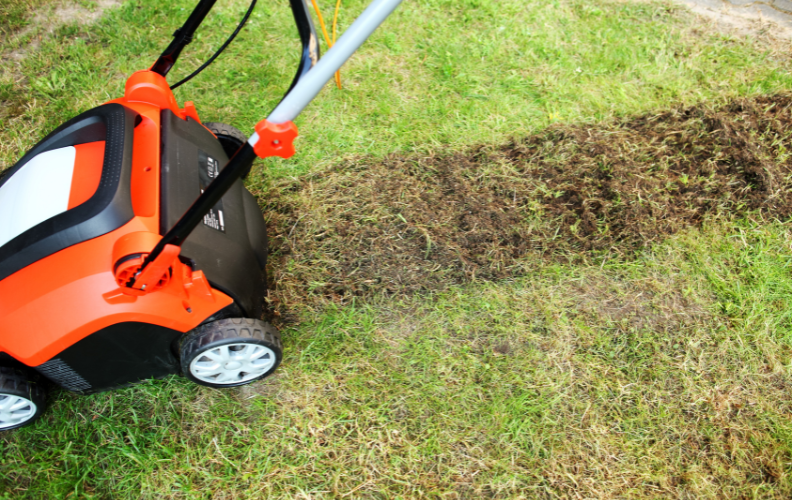 Aerate and Dethatch Every Fall