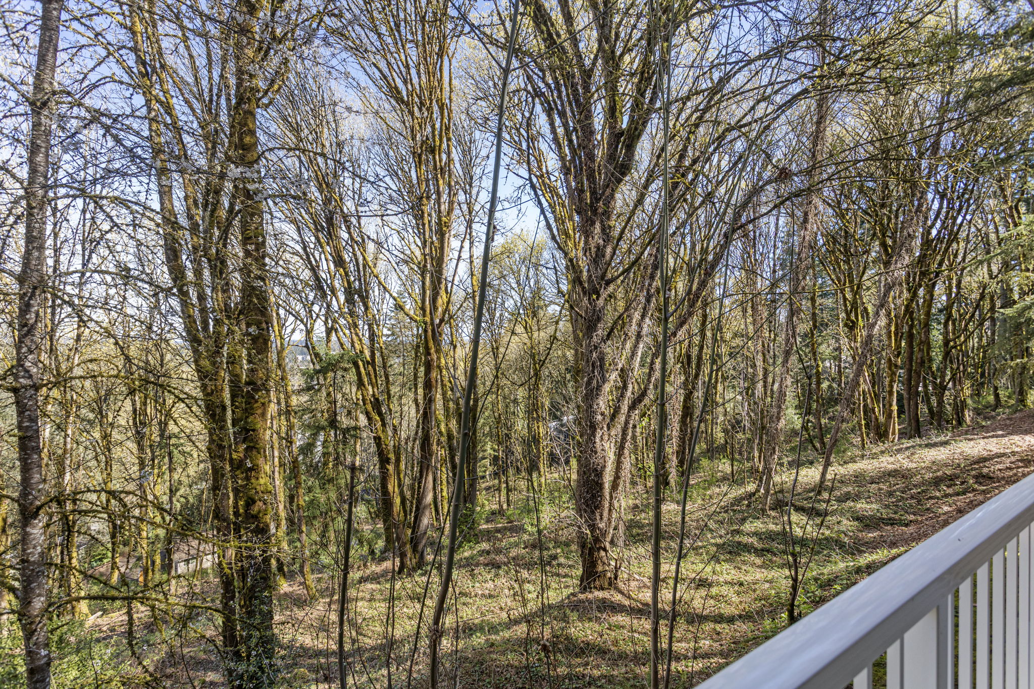 Entrance in 15230 SE 43rd Ct 101, Bellevue, WA 98006