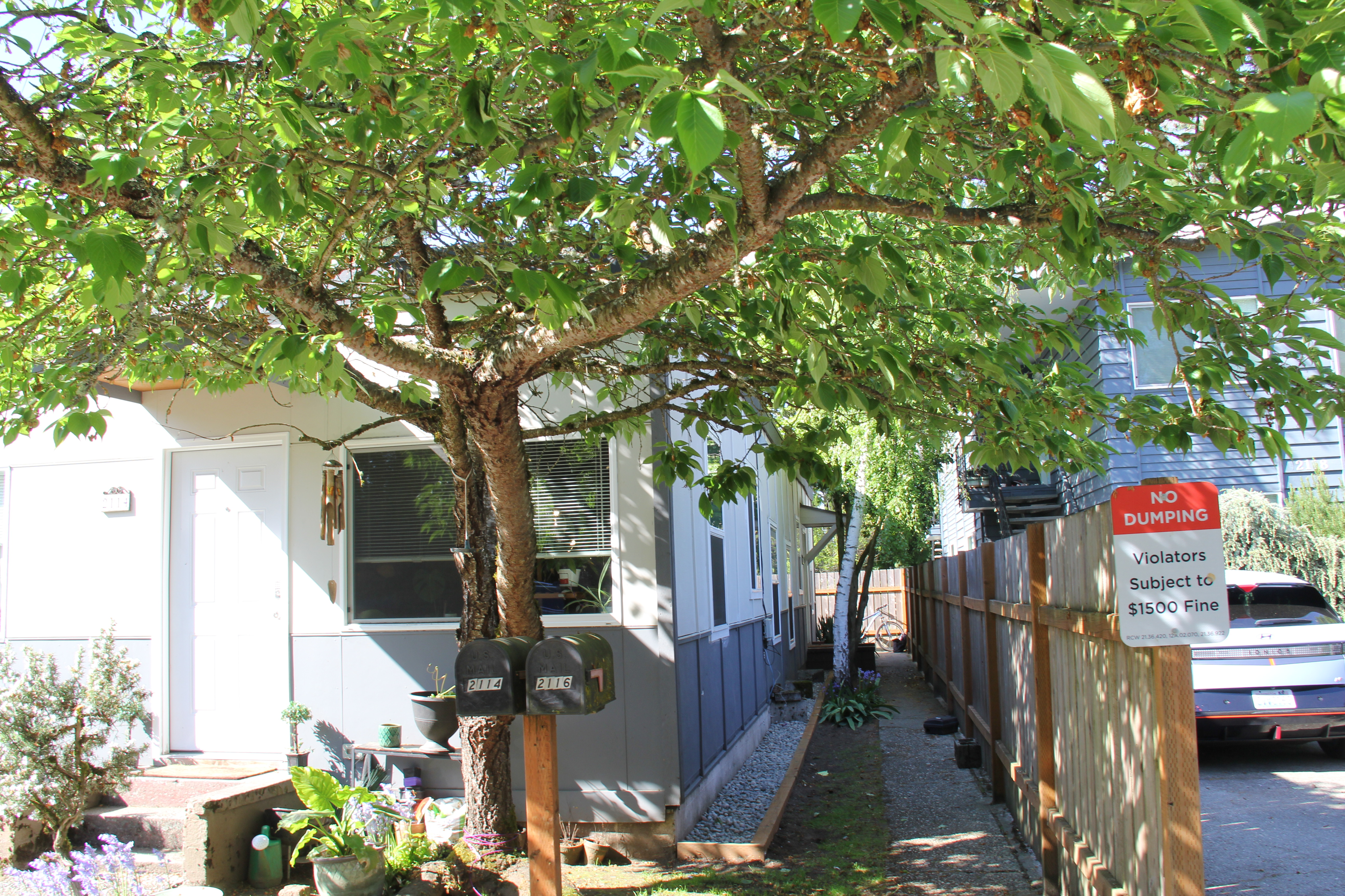 Property Photos in 2110-2116 NE 85th St, Seattle, WA 98115