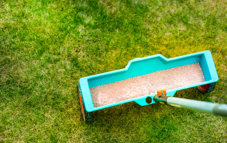 Feed Your Lawn on a Seasonal Schedule