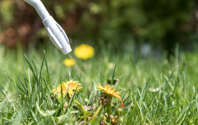 Spot-Treat Rather Than Blanket-Spray